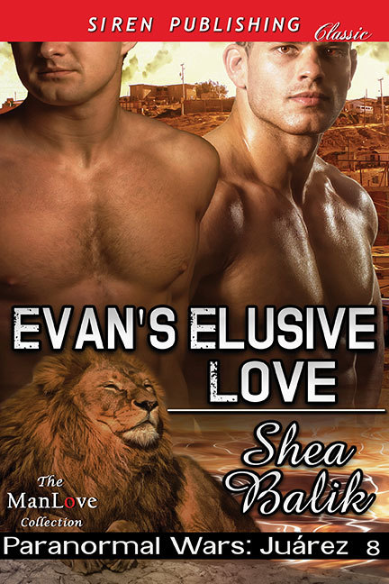 Evan's Elusive Love book cover