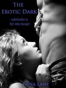 Erotic Dark book cover 1