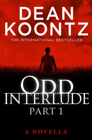 Odd Interlude #1 book cover
