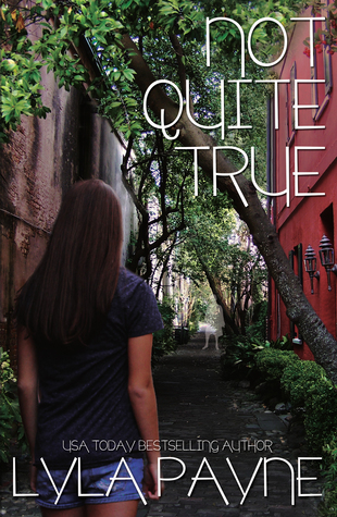 Lowcountry Mysteries book cover 3