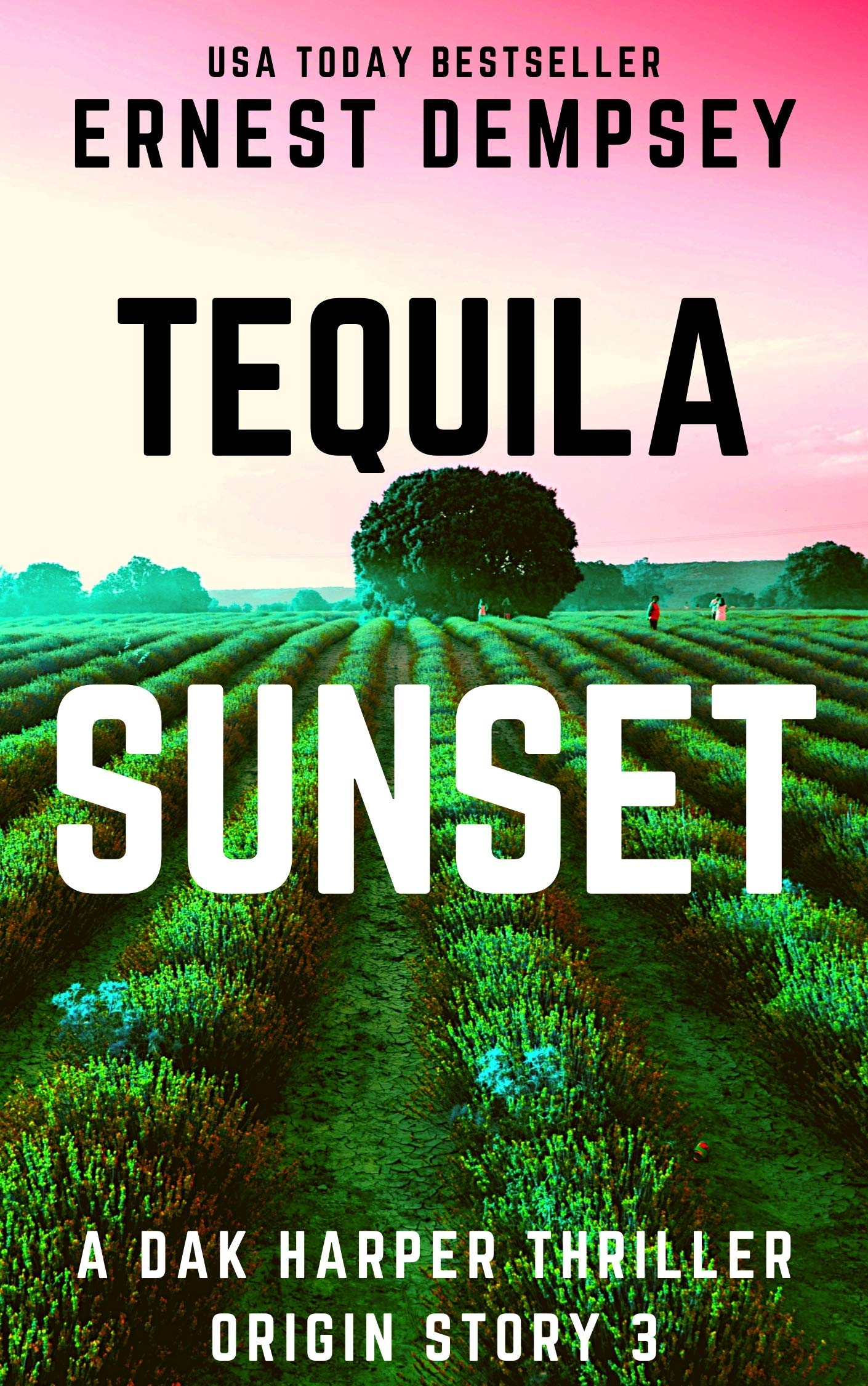 Tequila Sunset book cover