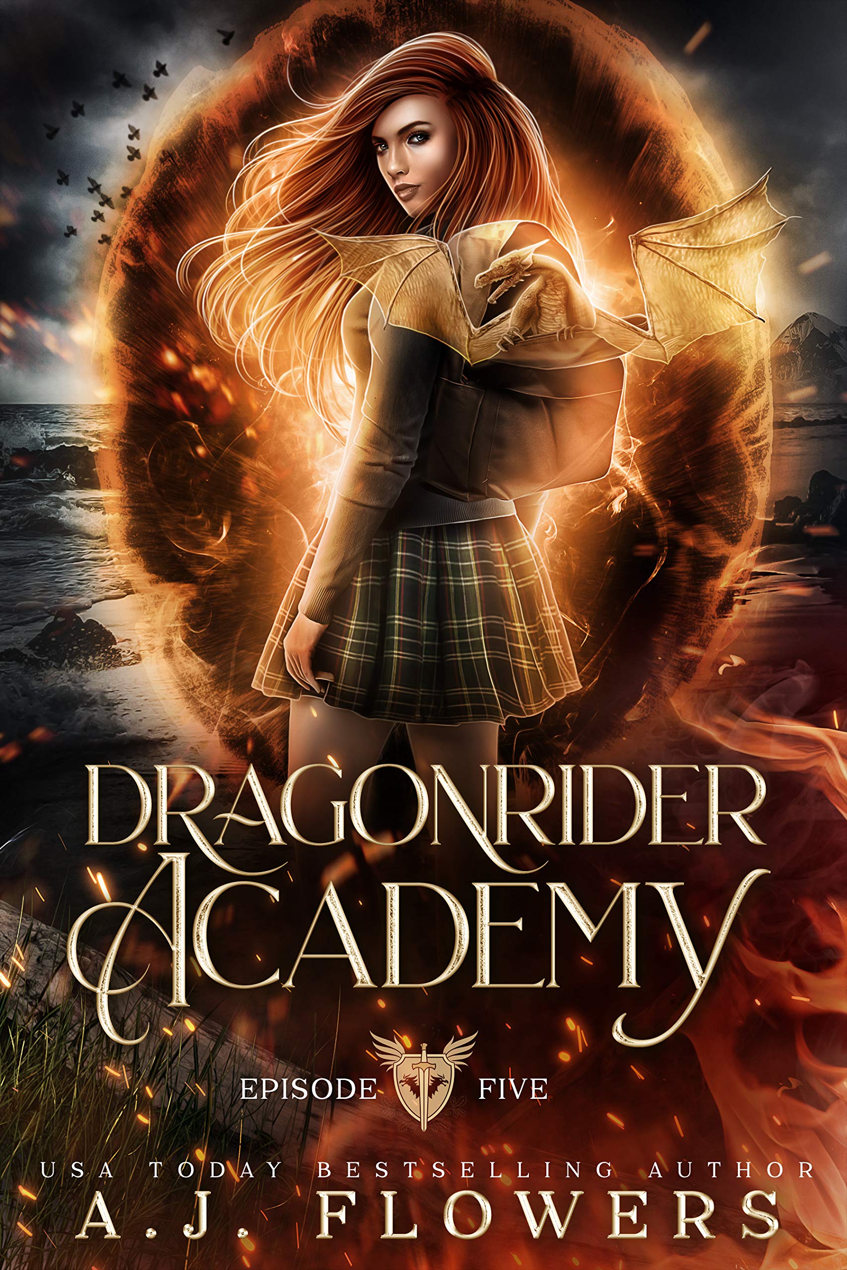 Dragonrider Academy book cover