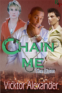 The Dom book cover 1