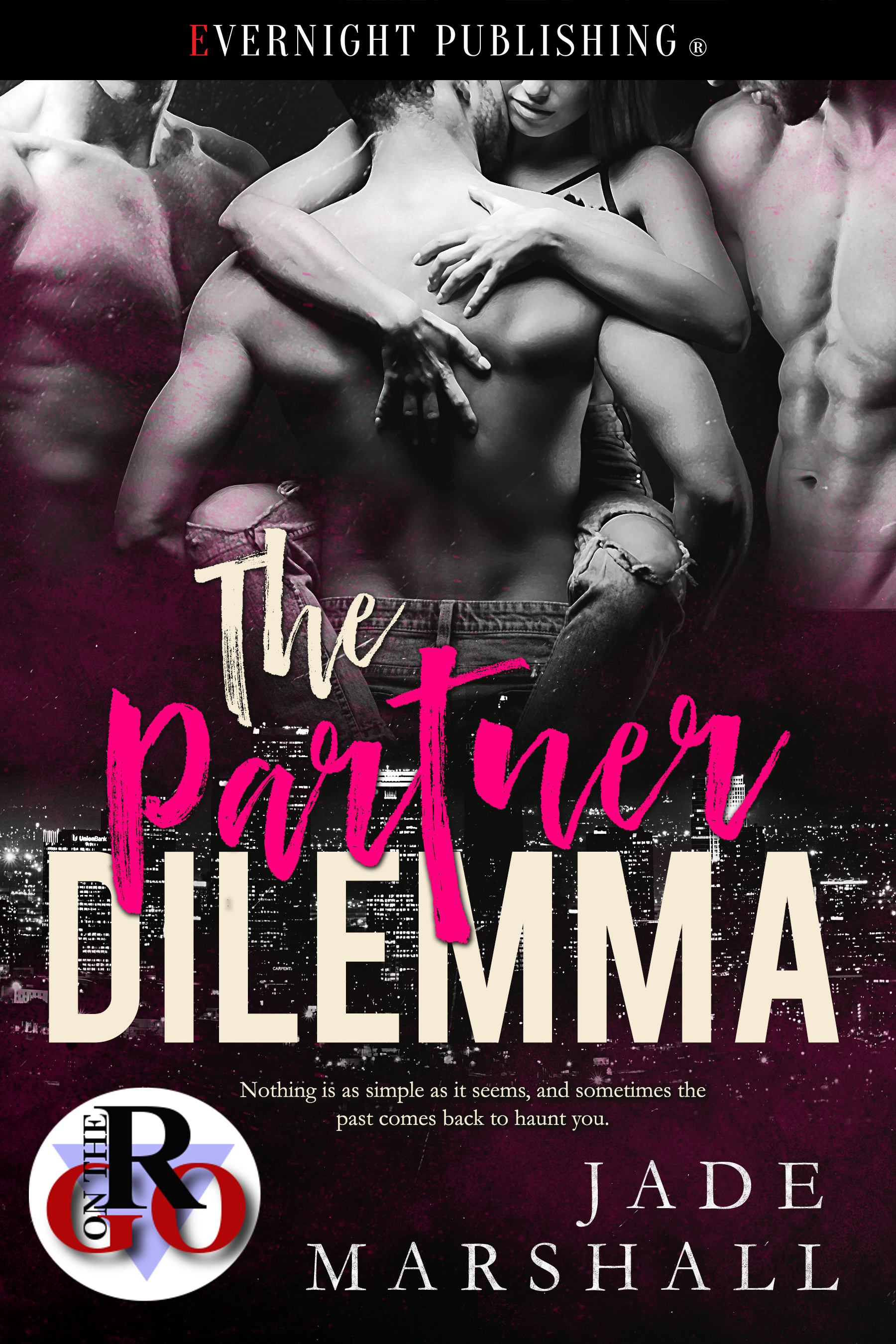 The Partners book cover 1
