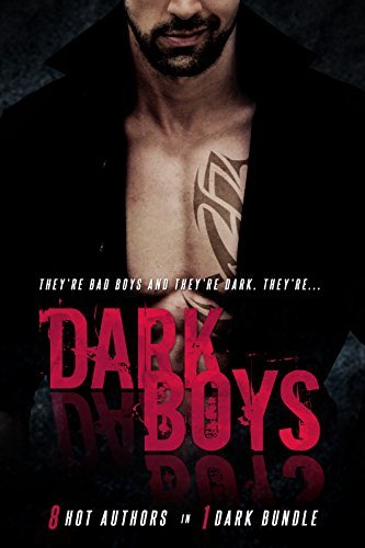 Dark Boys book cover