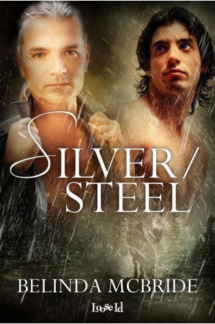 Silver/Steel book cover