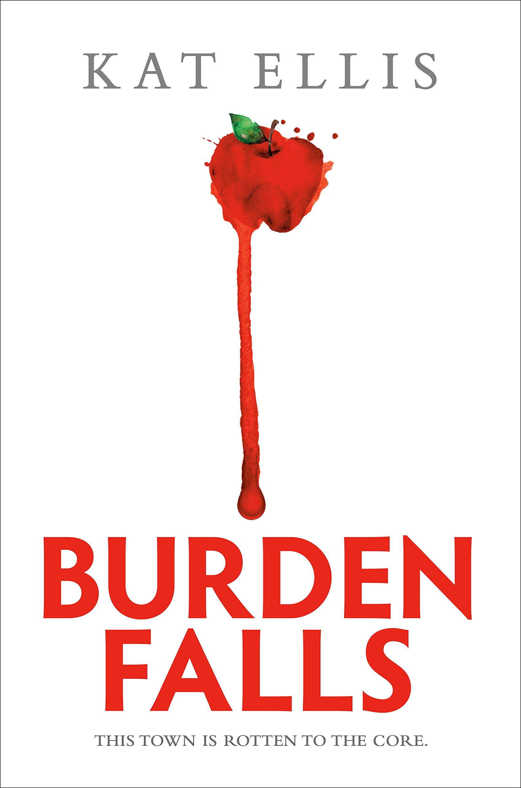 Burden Falls book cover