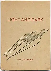 Light and Dark book cover