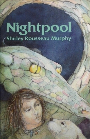 Dragonbards book cover 1