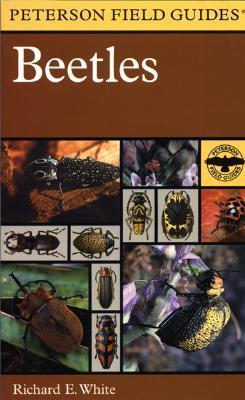 Beetles book cover