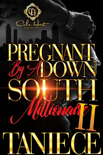 Pregnant By A Down South Millionaire 2 book cover