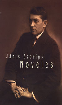 Noveles book cover