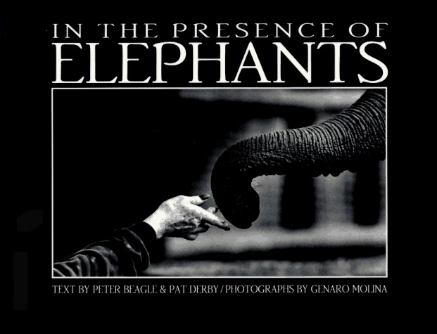 In the Presence of Elephants book cover