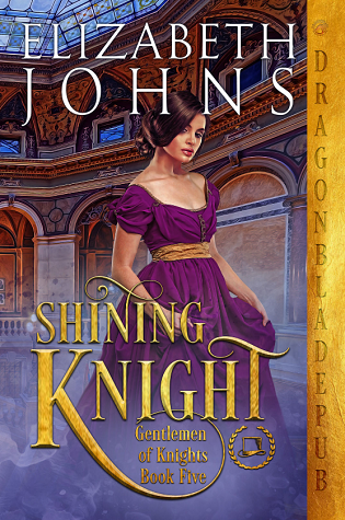 Shining Knight book cover