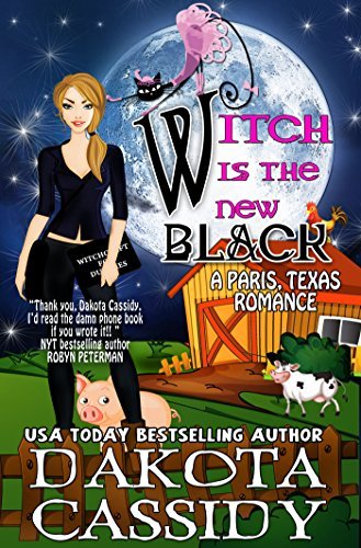 Paris, Texas book cover 3