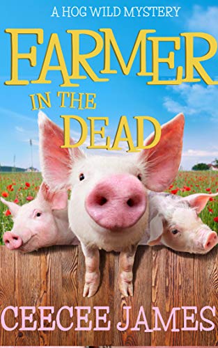 Chelsea Lawson book cover 2