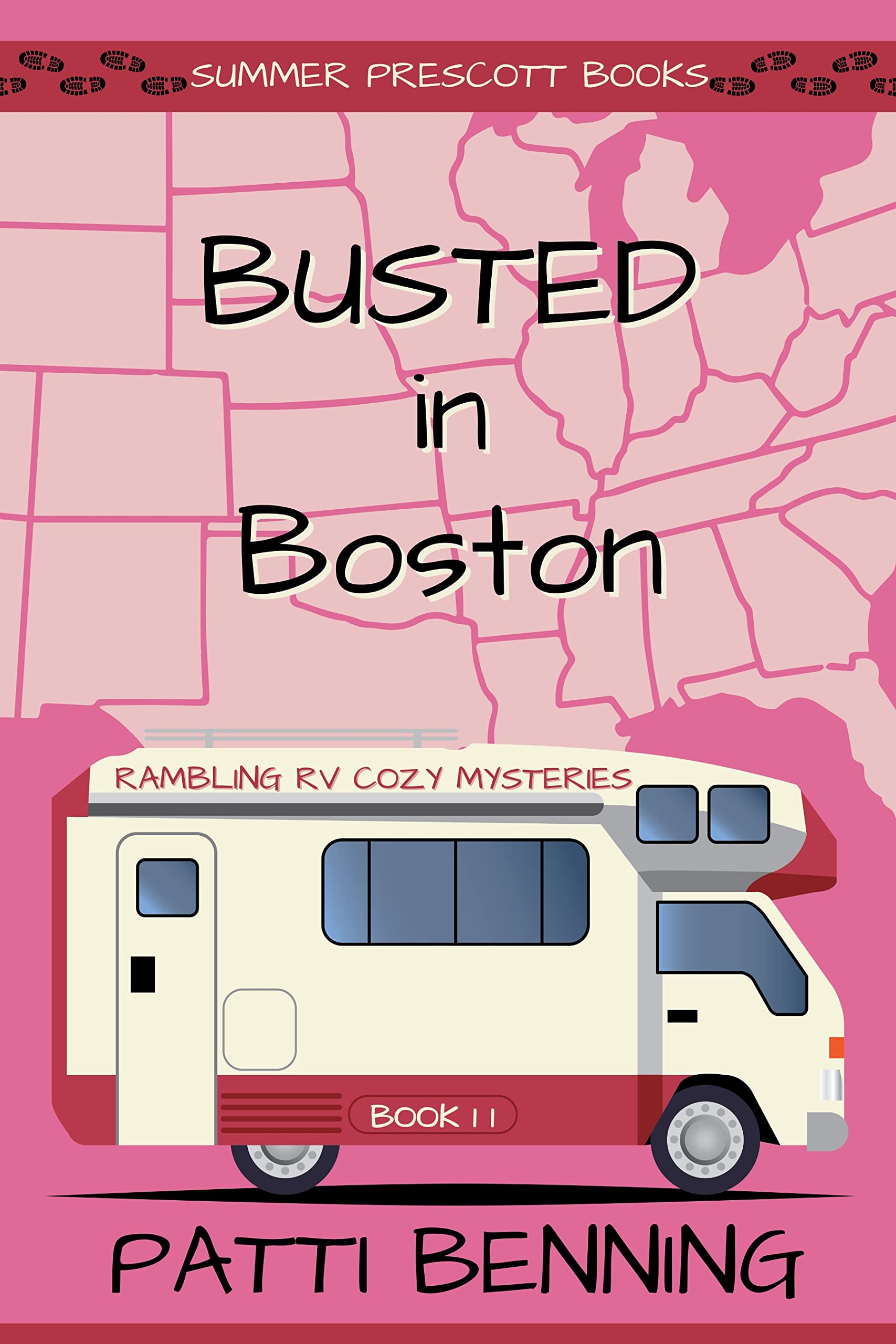 Busted in Boston book cover