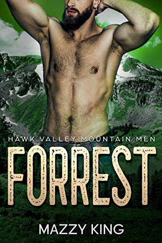 Hawk Valley Mountain Men book cover 3