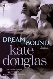 Dream Catchers book cover 1