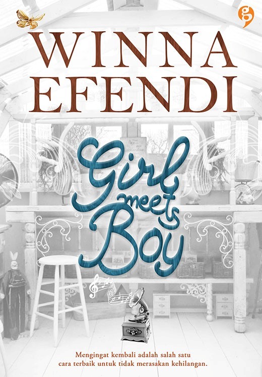 Girl Meets Boy book cover