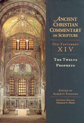 The Twelve Prophets book cover