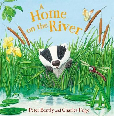 A Home on the River book cover