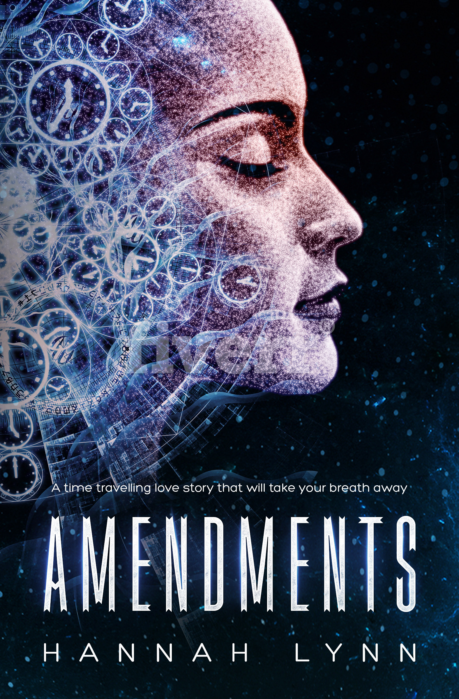 Amendments book cover