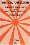 Buddhist Revolution and Counter-Revolution in Ancient India book cover