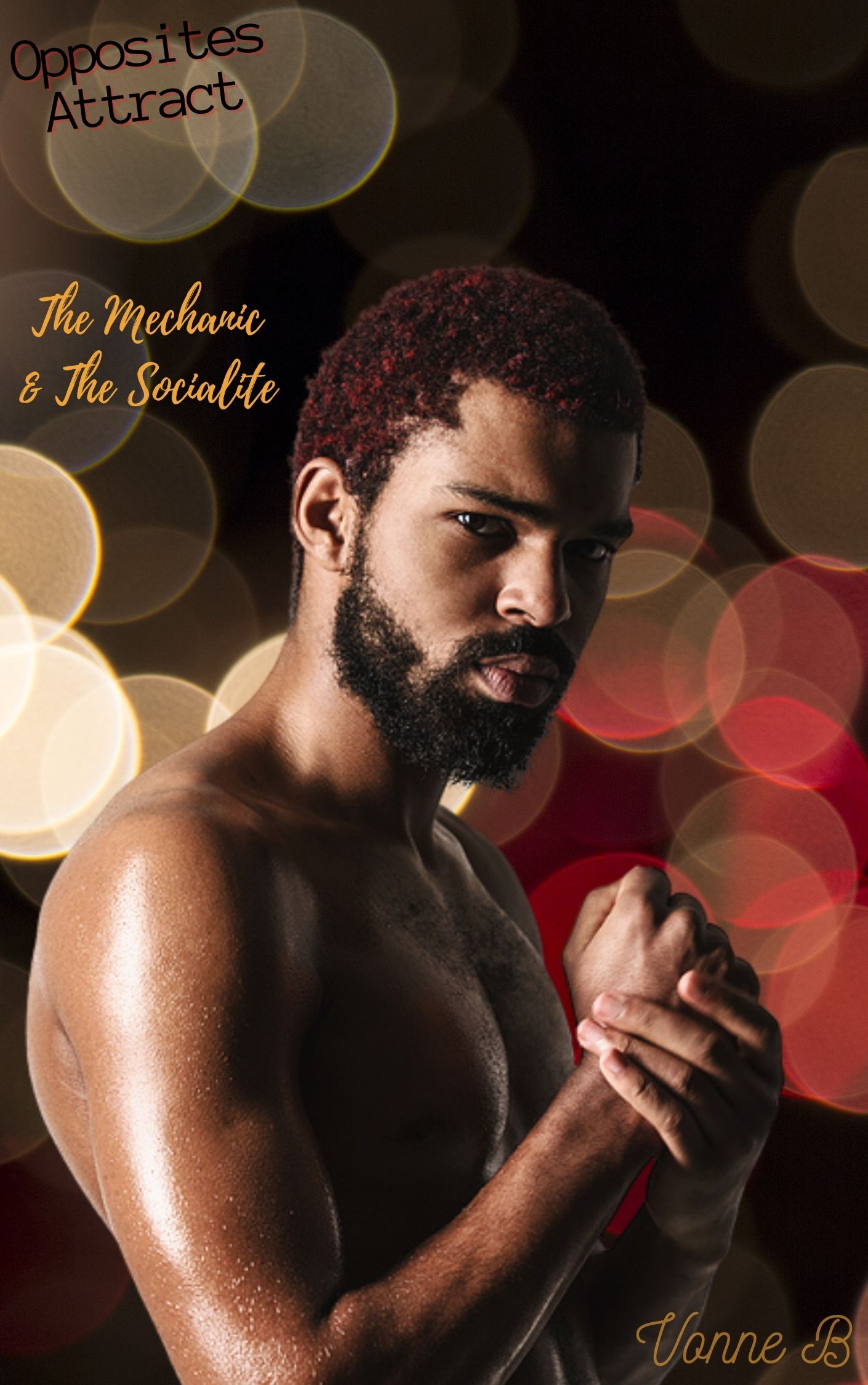 The Mechanic and The Socialite book cover