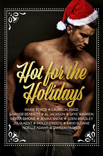 Hot for the Holidays book cover