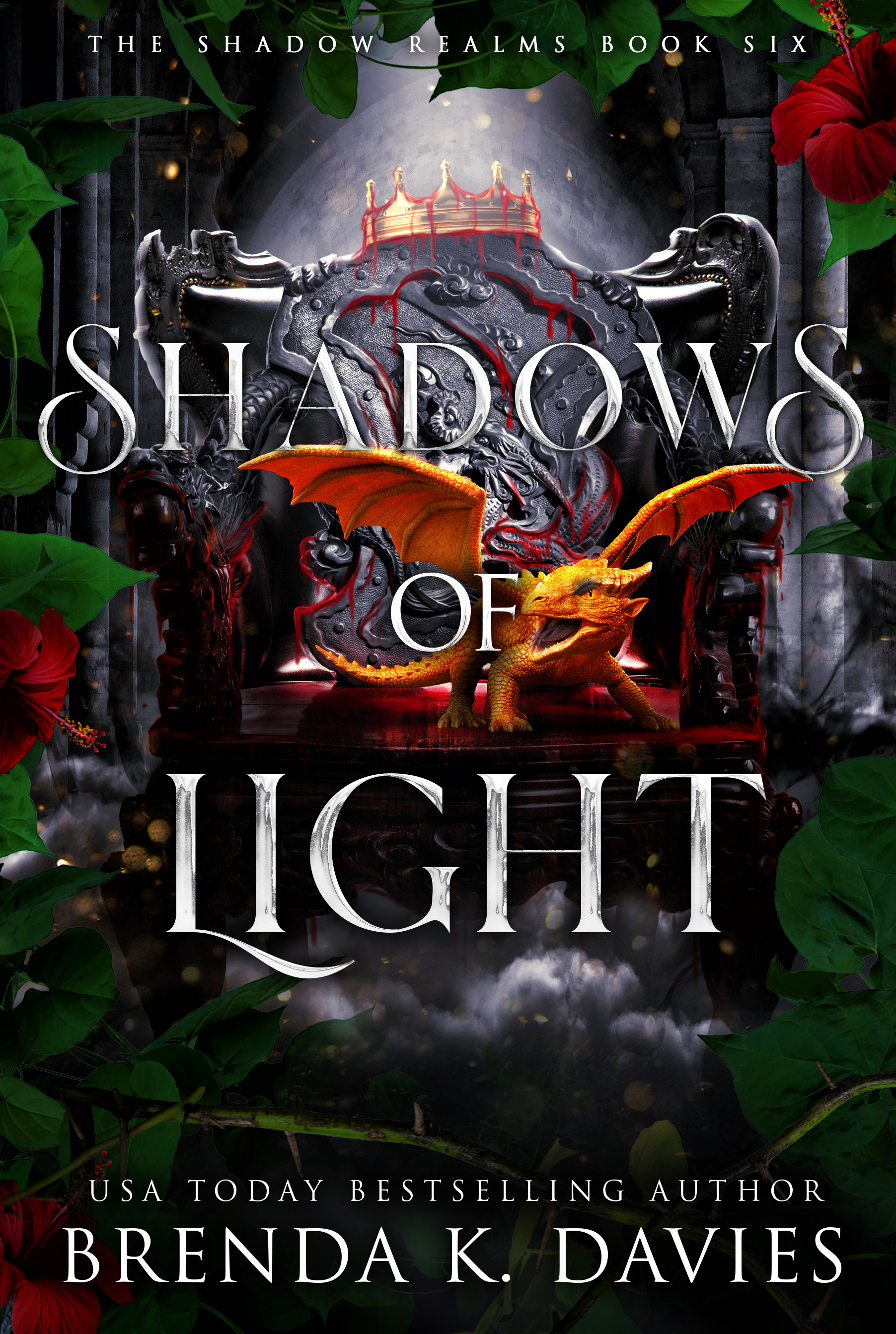 Shadows of Light book cover
