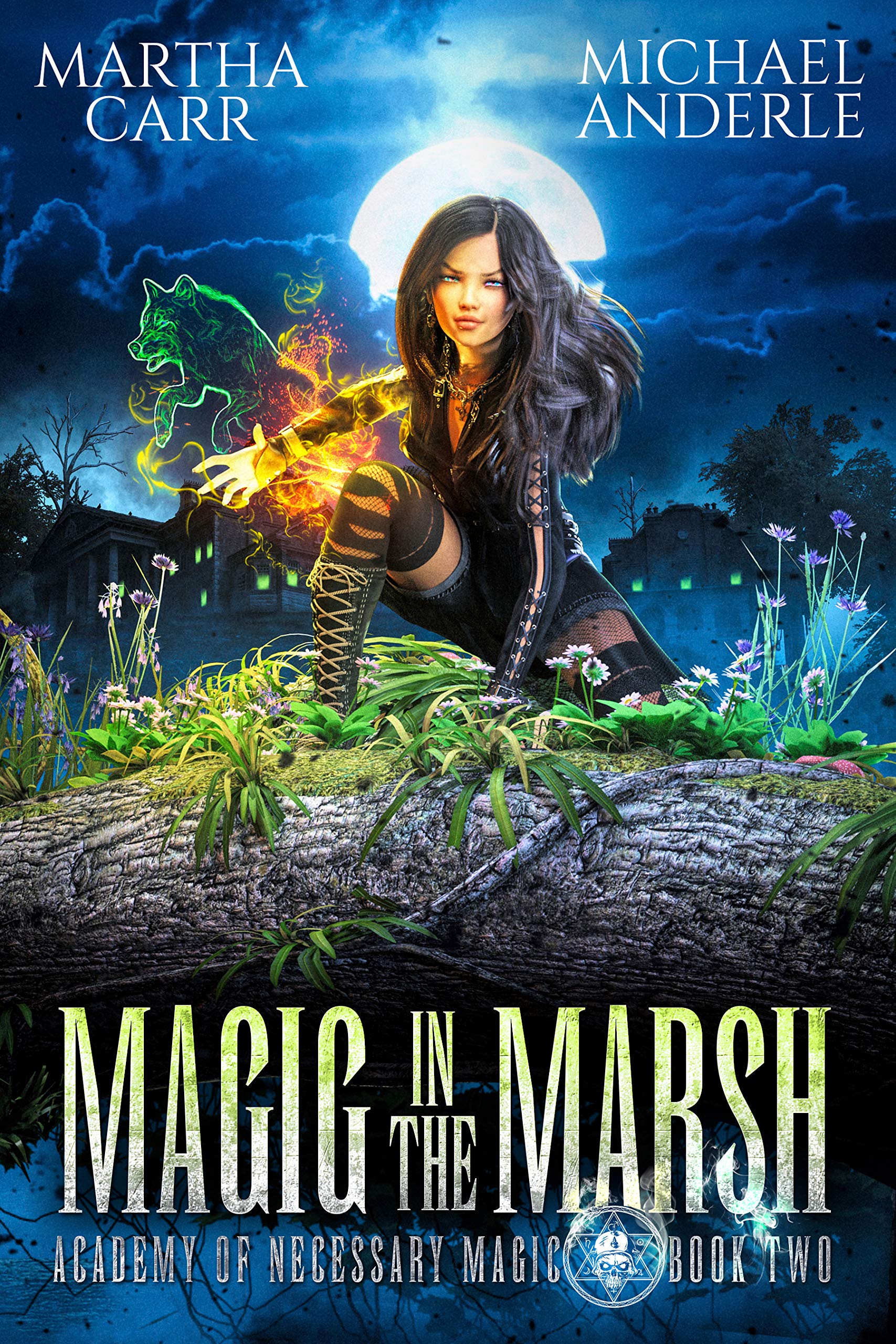 Academy of Necessary Magic book cover 2