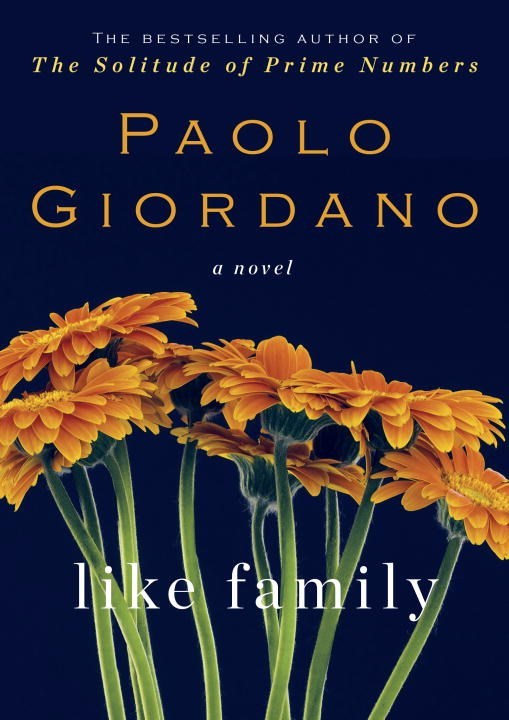 Like Family book cover