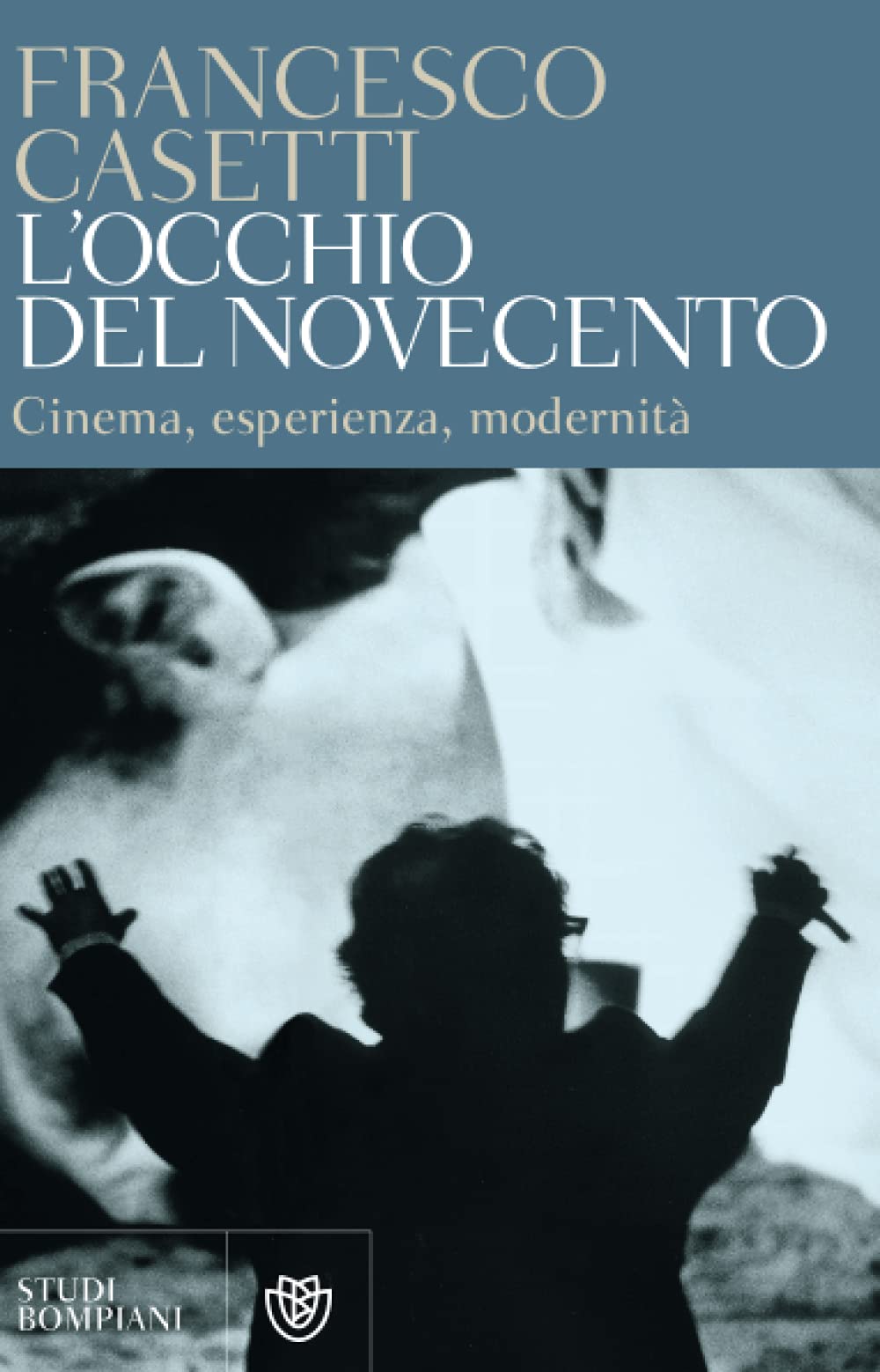 Film and Culture Series book cover 3