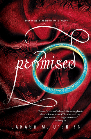 Birthmarked book cover 3
