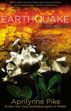 Earthbound book cover 2