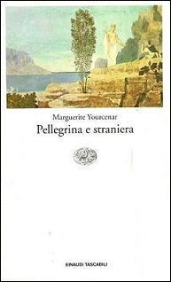A Pilgrim and a Stranger book cover