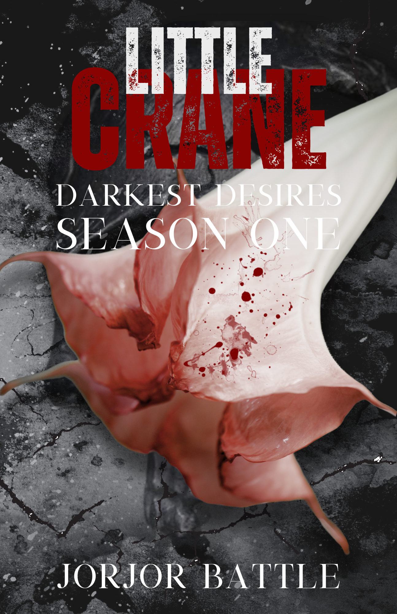 Darkest Desires: Season One book cover 3
