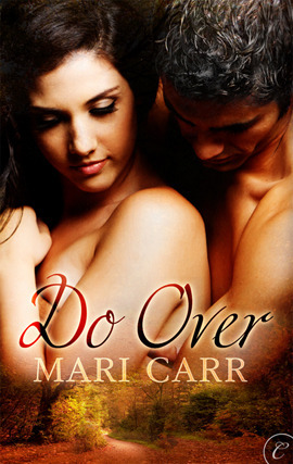 Do Over book cover