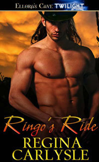 High Plains Shifters book cover 3