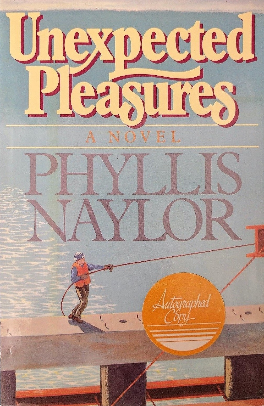 Unexpected Pleasures book cover