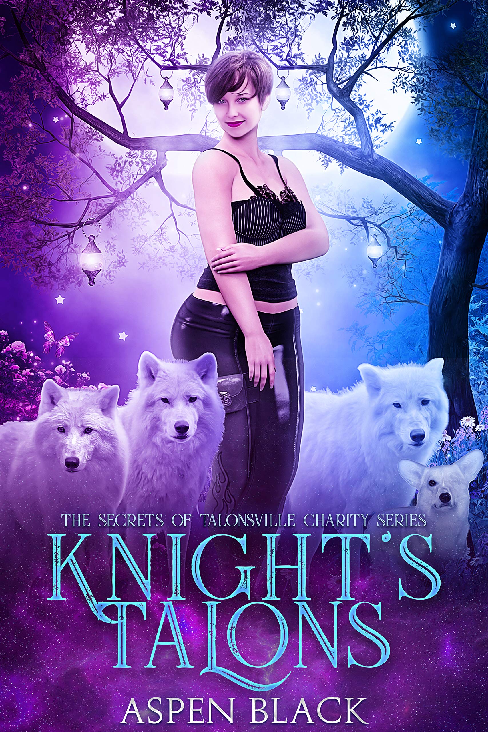The Secrets of Talonville Charity book cover 1