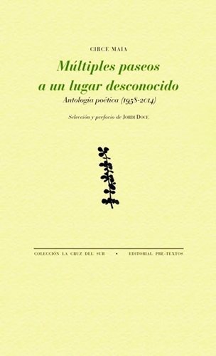 Múltiples paseos a un lugar desconocido book cover