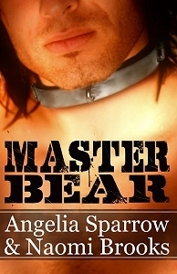 Master Bear book cover