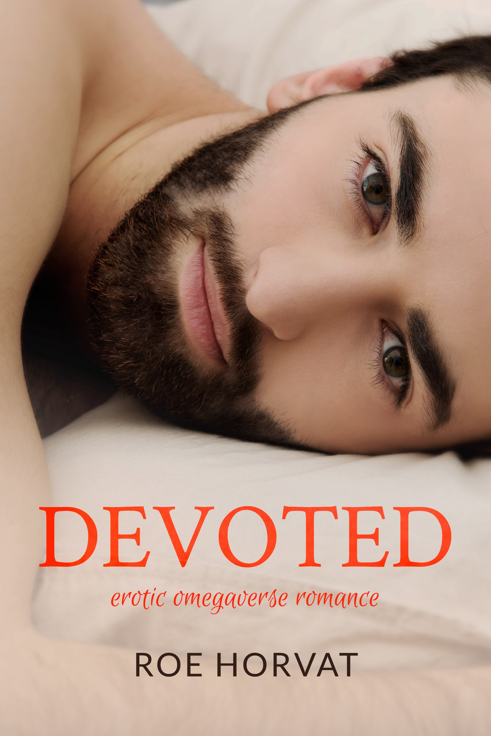 Heated Touch book cover 1