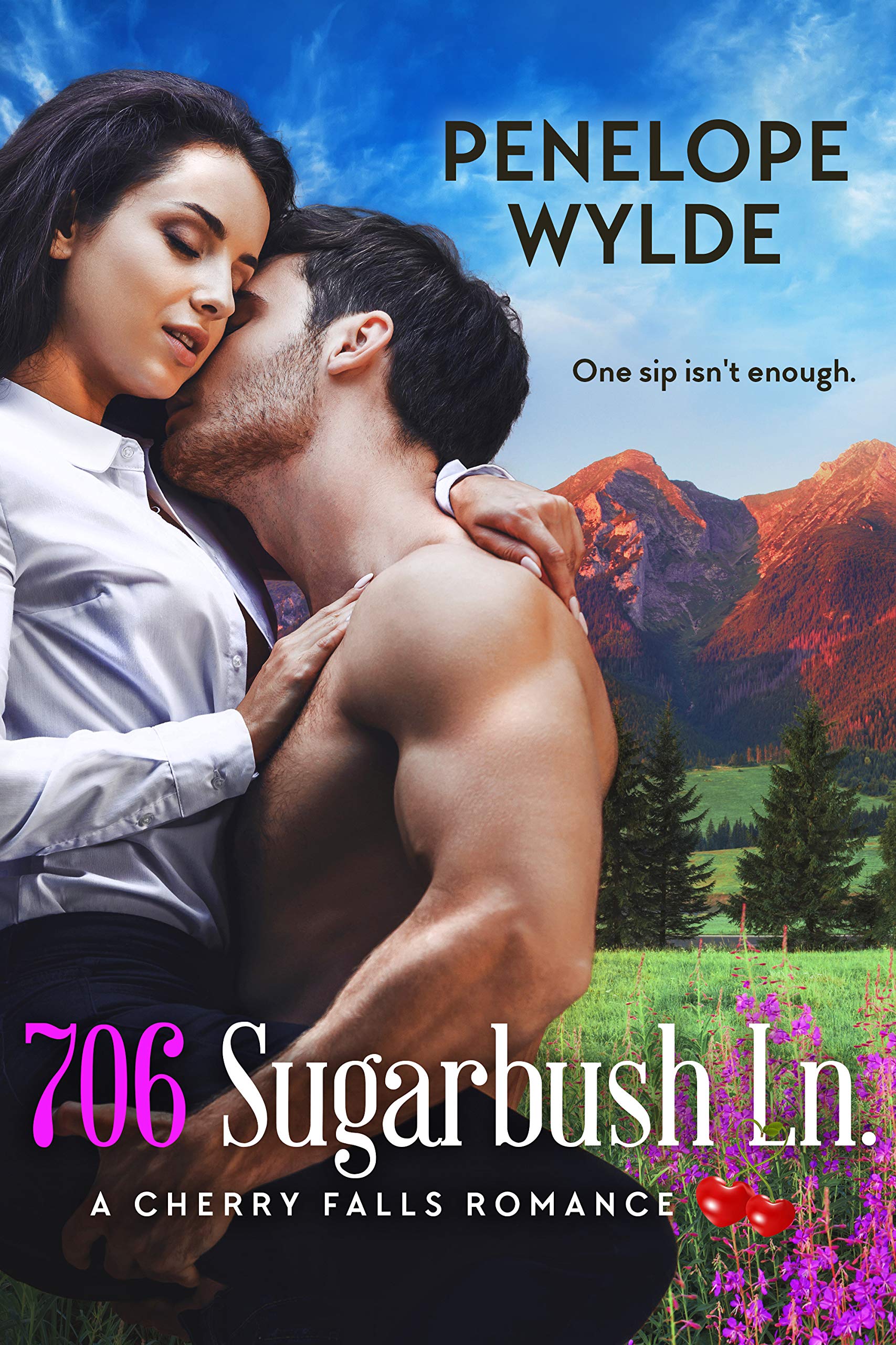 706 Sugarbush Lane book cover