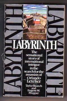 Labyrinth book cover