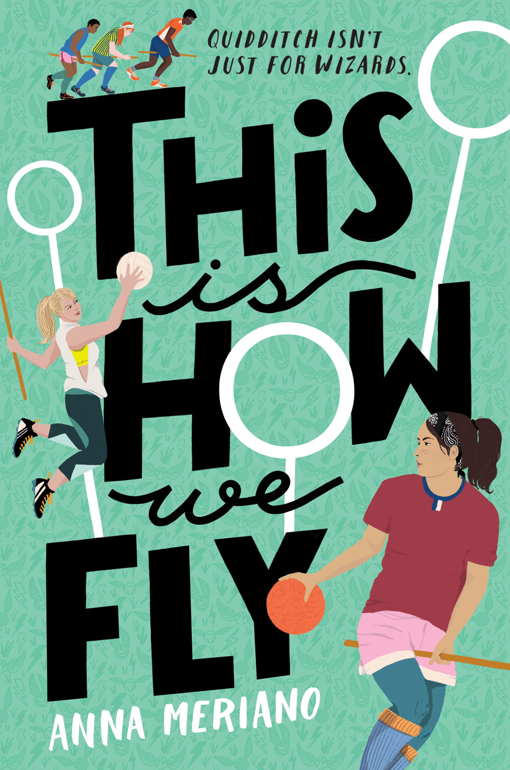 This is How We Fly book cover