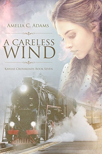 A Careless Wind book cover