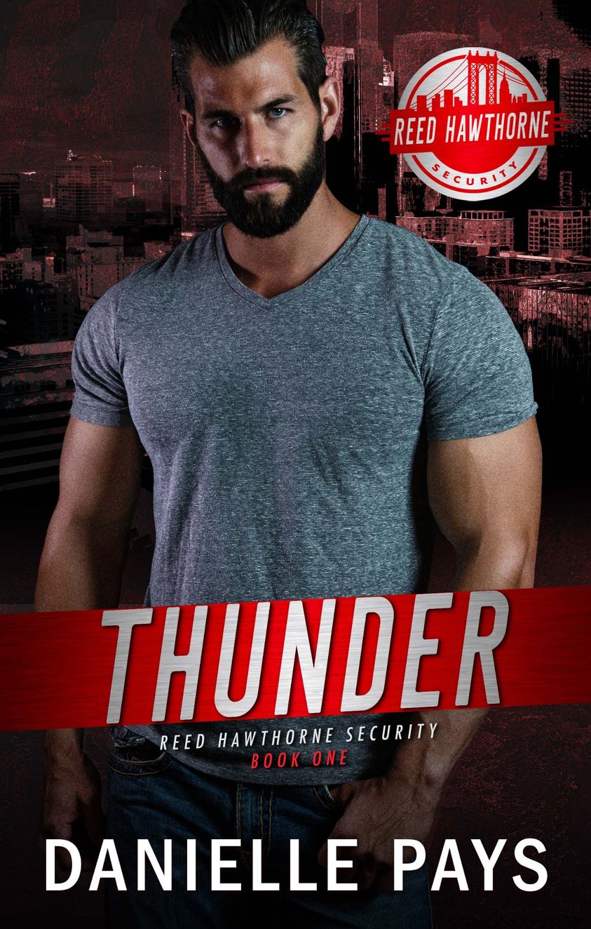 Reed Hawthorne Security book cover 1